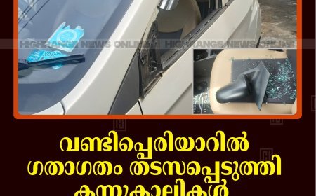 വണ്ടിപ്പെരിയാറില്‍ ഗതാഗതം തടസപ്പെടുത്തി കന്നുകാലികള്‍: അപകടങ്ങള്‍ പതിവാകുന്നു