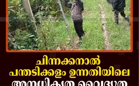 ചിന്നക്കനാല്‍ പന്തടിക്കളം ഉന്നതിയിലെ അനധികൃത വൈദ്യുത വേലികള്‍ മുറിച്ചുനീക്കി 