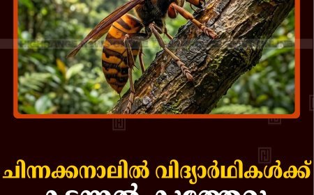 ചിന്നക്കനാലില്‍ വിദ്യാര്‍ഥികള്‍ക്ക് കടന്നല്‍ കുത്തേറ്റു 