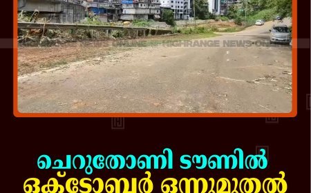 ചെറുതോണി ടൗണില്‍ ഒക്ടോബര്‍ ഒന്നുമുതല്‍ ട്രാഫിക് പരിഷ്‌കരണം 