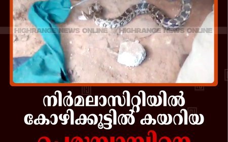 നിര്‍മലാസിറ്റിയില്‍ കോഴിക്കൂട്ടില്‍ കയറിയ പെരുമ്പാമ്പിനെ പിടികൂടി