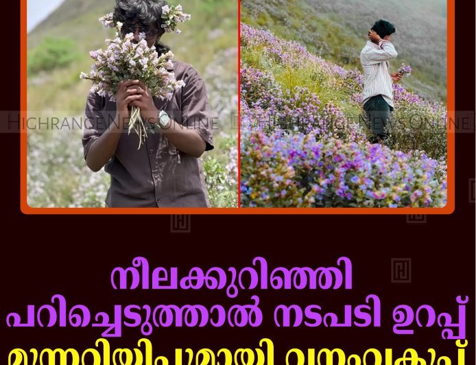നീലക്കുറിഞ്ഞി പറിച്ചെടുത്താല്‍ നടപടി ഉറപ്പ്: മുന്നറിയിപ്പുമായി വനംവകുപ്പ്