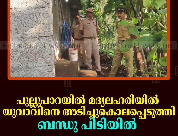 പുല്ലുപാറയില്‍ മദ്യലഹരിയില്‍ യുവാവിനെ അടിച്ചുകൊലപ്പെടുത്തി: ബന്ധു പിടിയില്‍