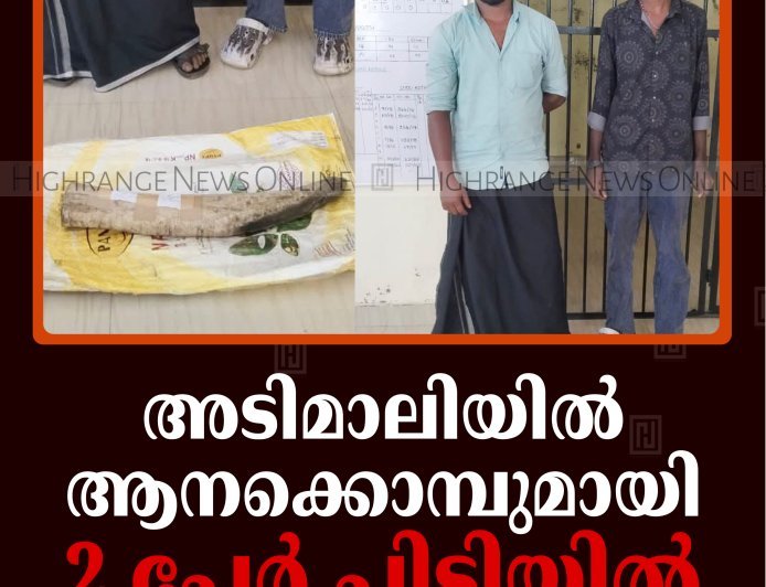 അടിമാലിയില്‍ ആനക്കൊമ്പുമായി 2 പേര്‍ പിടിയില്‍