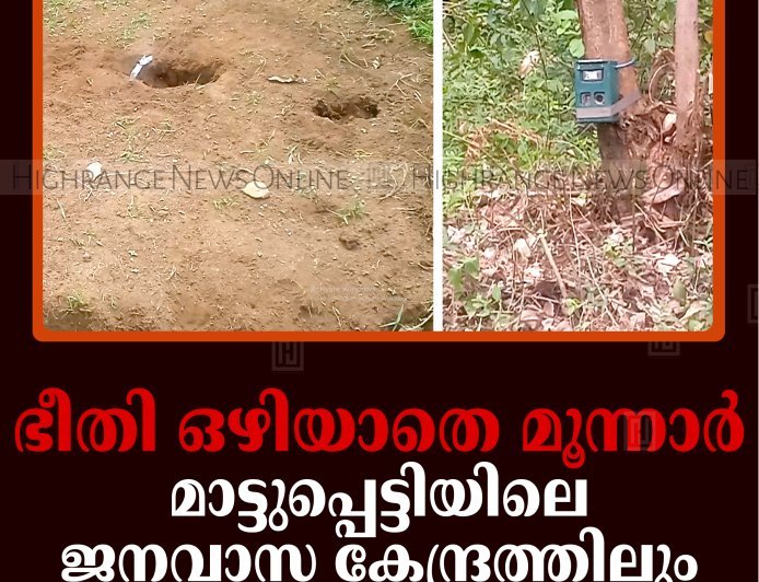 ഭീതി ഒഴിയാതെ മൂന്നാര്‍: മാട്ടുപ്പെട്ടിയിലെ ജനവാസ കേന്ദ്രത്തിലും കടുവയെത്തി