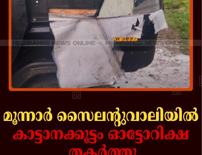 മൂന്നാര്‍ സൈലന്റുവാലിയില്‍ കാട്ടാനക്കൂട്ടം ഓട്ടോറിക്ഷ തകര്‍ത്തു