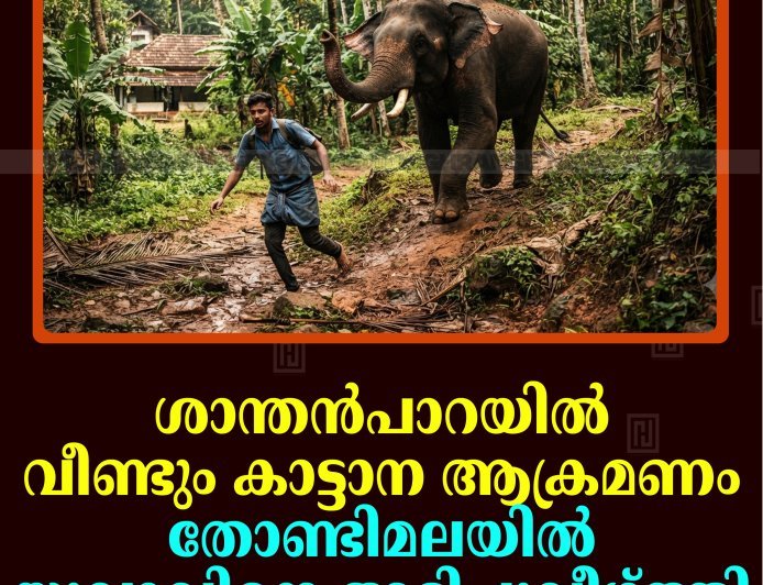 ശാന്തന്‍പാറയില്‍ വീണ്ടും കാട്ടാന ആക്രമണം: തോണ്ടിമലയില്‍ യുവാവിനെ അടിച്ചുവീഴ്ത്തി