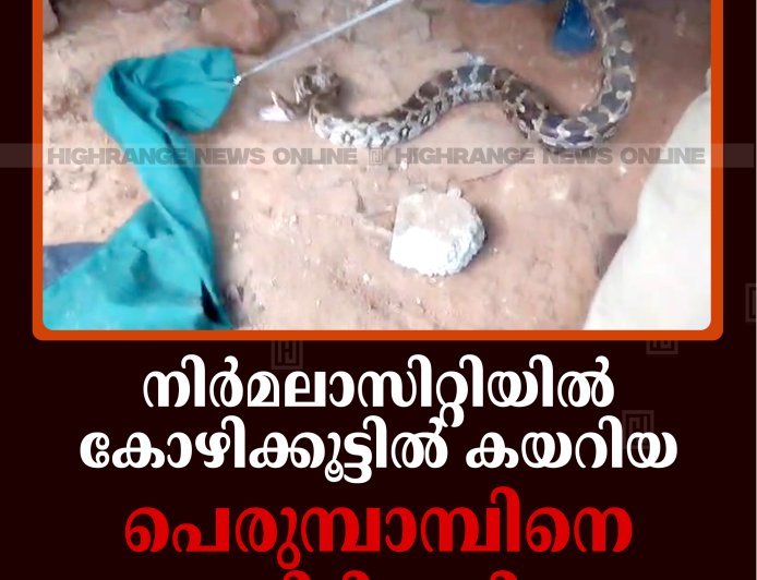 നിര്‍മലാസിറ്റിയില്‍ കോഴിക്കൂട്ടില്‍ കയറിയ പെരുമ്പാമ്പിനെ പിടികൂടി