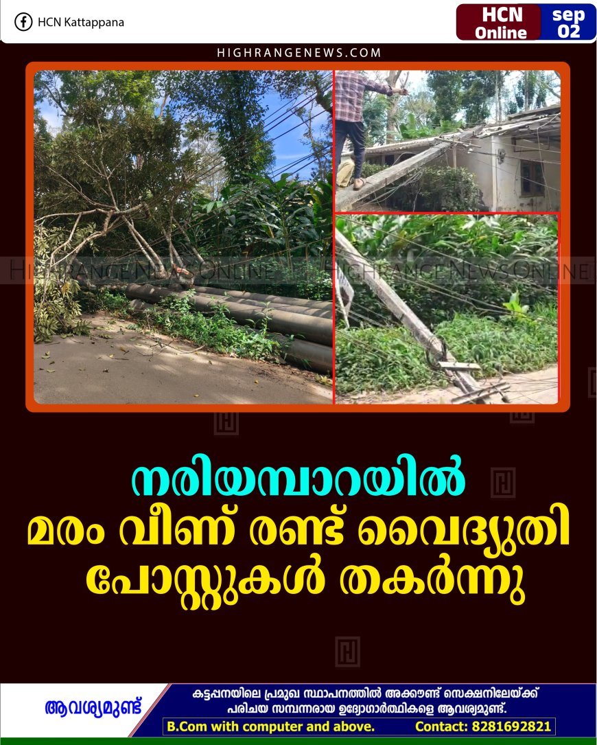 നരിയമ്പാറയിൽ മരം വീണ് രണ്ട് വൈദ്യുതി പോസ്റ്റുകൾ തകർന്നു ​