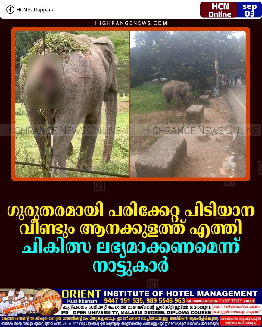 ഗുരുതരമായി പരിക്കേറ്റ പിടിയാന വീണ്ടും ആനക്കുളത്ത് എത്തി: ചികിത്സ ലഭ്യമാക്കണമെന്ന് നാട്ടുകാര്‍ 