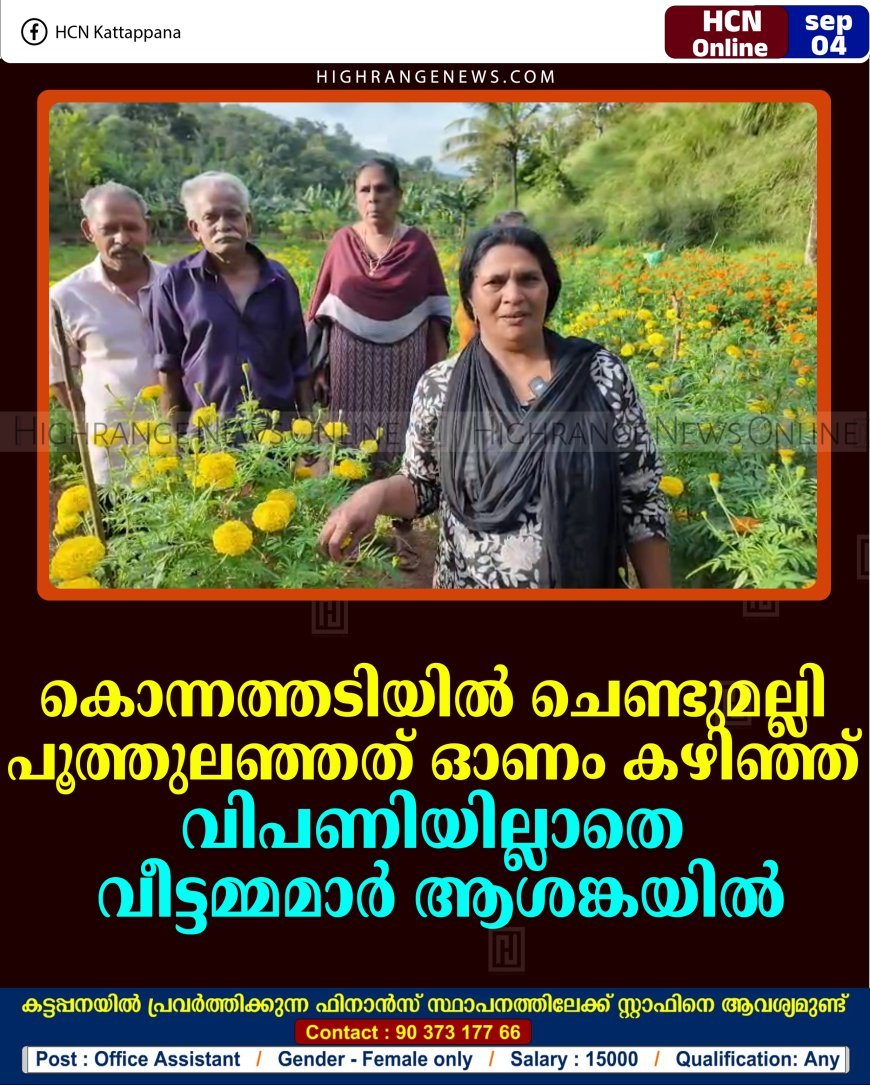കൊന്നത്തടിയില്‍ ചെണ്ടുമല്ലി പൂത്തുലഞ്ഞത് ഓണം കഴിഞ്ഞ്: വിപണിയില്ലാതെ വീട്ടമ്മമാര്‍ ആശങ്കയില്‍