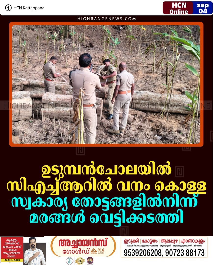 ഉടുമ്പന്‍ചോലയില്‍ സിഎച്ച്ആറില്‍ വനം കൊള്ള: സ്വകാര്യ തോട്ടങ്ങളില്‍നിന്ന് മരങ്ങള്‍ വെട്ടിക്കടത്തി