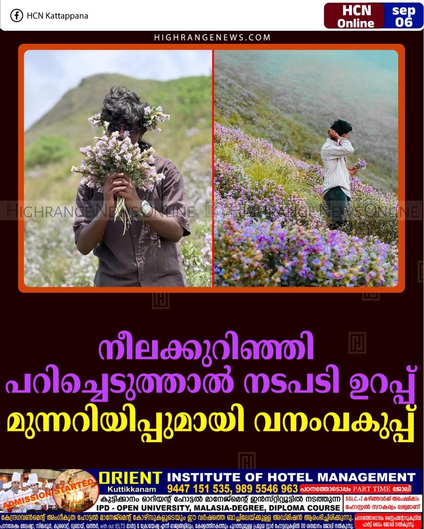 നീലക്കുറിഞ്ഞി പറിച്ചെടുത്താല്‍ നടപടി ഉറപ്പ്: മുന്നറിയിപ്പുമായി വനംവകുപ്പ്