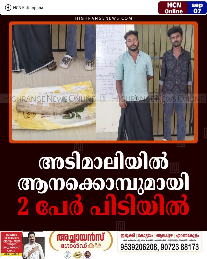 അടിമാലിയില്‍ ആനക്കൊമ്പുമായി 2 പേര്‍ പിടിയില്‍