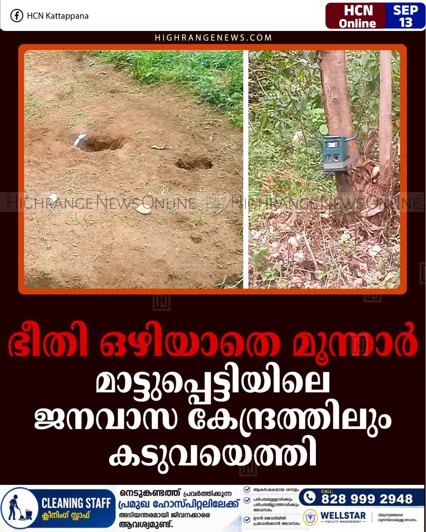 ഭീതി ഒഴിയാതെ മൂന്നാര്‍: മാട്ടുപ്പെട്ടിയിലെ ജനവാസ കേന്ദ്രത്തിലും കടുവയെത്തി