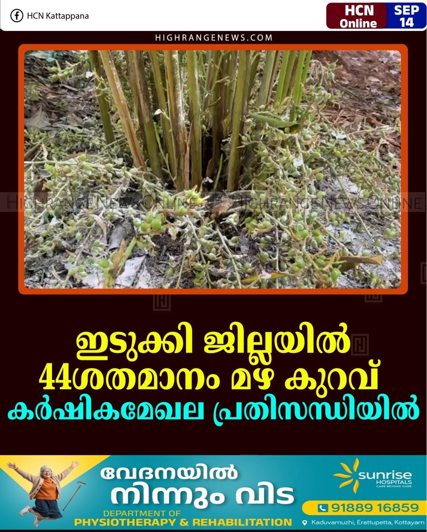 ഇടുക്കി ജില്ലയില്‍ 44ശതമാനം മഴ കുറവ്: കര്‍ഷികമേഖല പ്രതിസന്ധിയില്‍