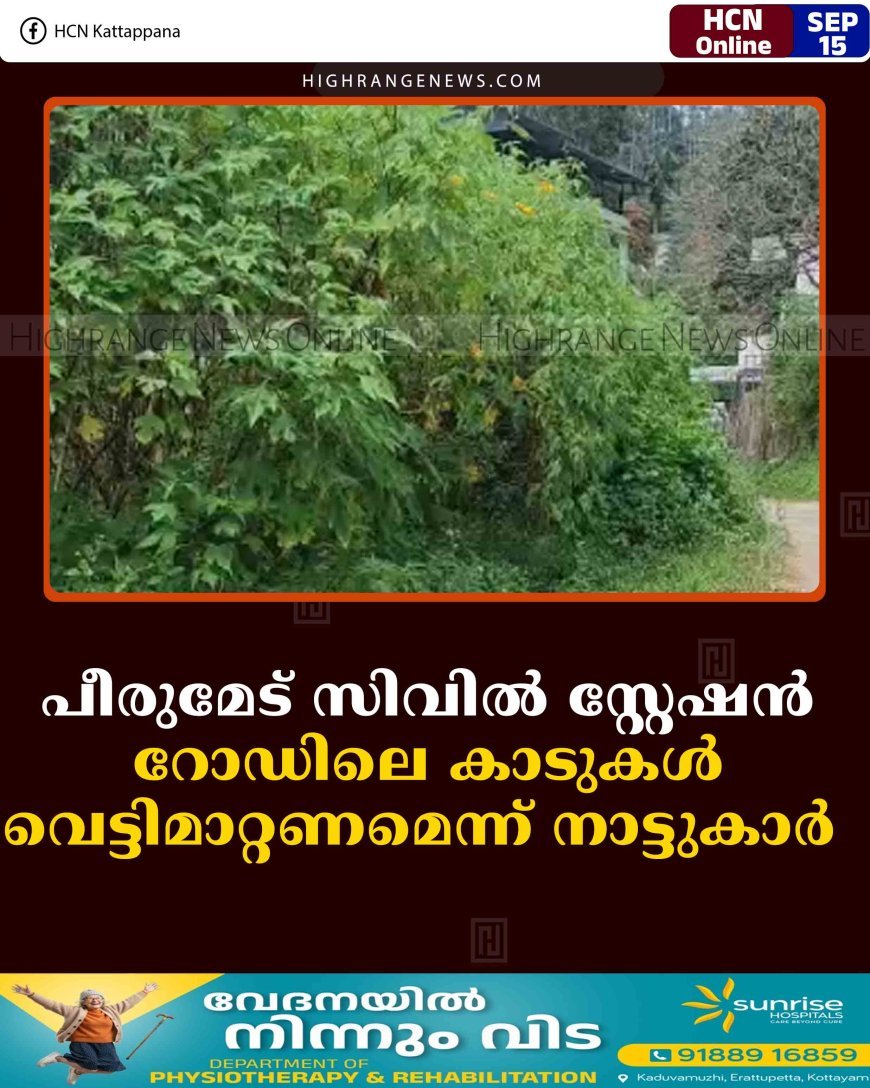 പീരുമേട് സിവില്‍ സ്റ്റേഷന്‍ റോഡിലെ കാടുകള്‍ വെട്ടിമാറ്റണമെന്ന് നാട്ടുകാര്‍ 