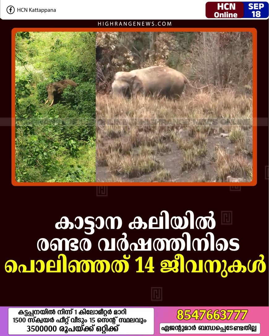 കാട്ടാന കലിയില്‍ രണ്ടര വര്‍ഷത്തിനിടെ പൊലിഞ്ഞത് 14 ജീവനുകള്‍ 