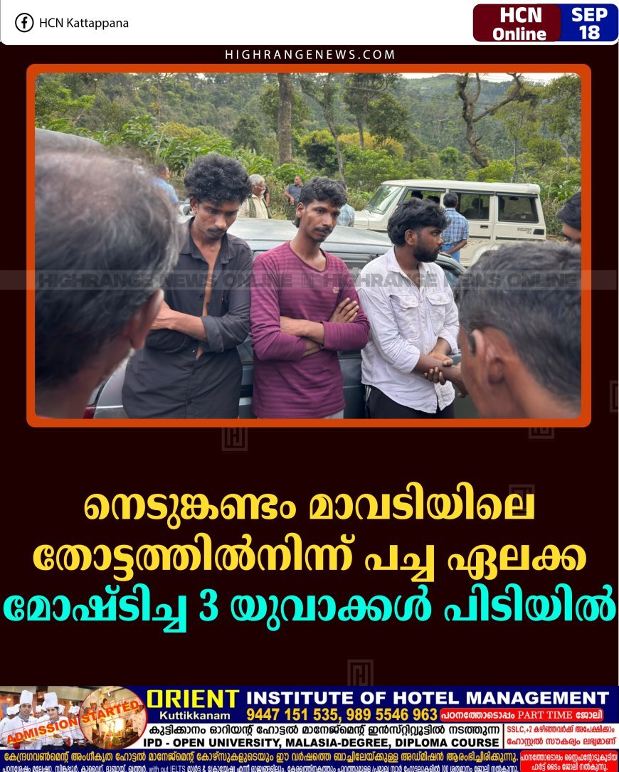 നെടുങ്കണ്ടം മാവടിയിലെ തോട്ടത്തില്‍നിന്ന് പച്ച ഏലക്ക മോഷ്ടിച്ച 3 യുവാക്കള്‍ പിടിയില്‍ 