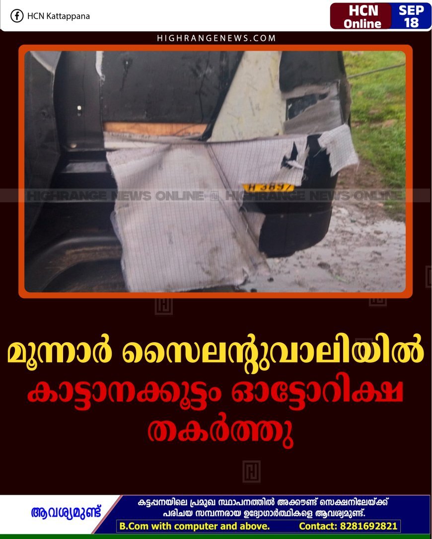 മൂന്നാര്‍ സൈലന്റുവാലിയില്‍ കാട്ടാനക്കൂട്ടം ഓട്ടോറിക്ഷ തകര്‍ത്തു