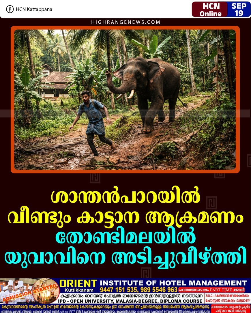 ശാന്തന്‍പാറയില്‍ വീണ്ടും കാട്ടാന ആക്രമണം: തോണ്ടിമലയില്‍ യുവാവിനെ അടിച്ചുവീഴ്ത്തി
