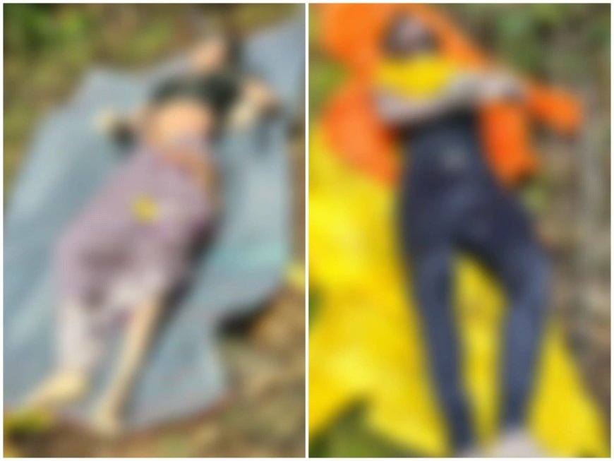 പൂപ്പാറയിൽ തേയില തോട്ടത്തിലെ കുളത്തിൽ അതിഥി തൊഴിലാളികളായ ദമ്പതികൾ മരിച്ചനിലയിൽ 