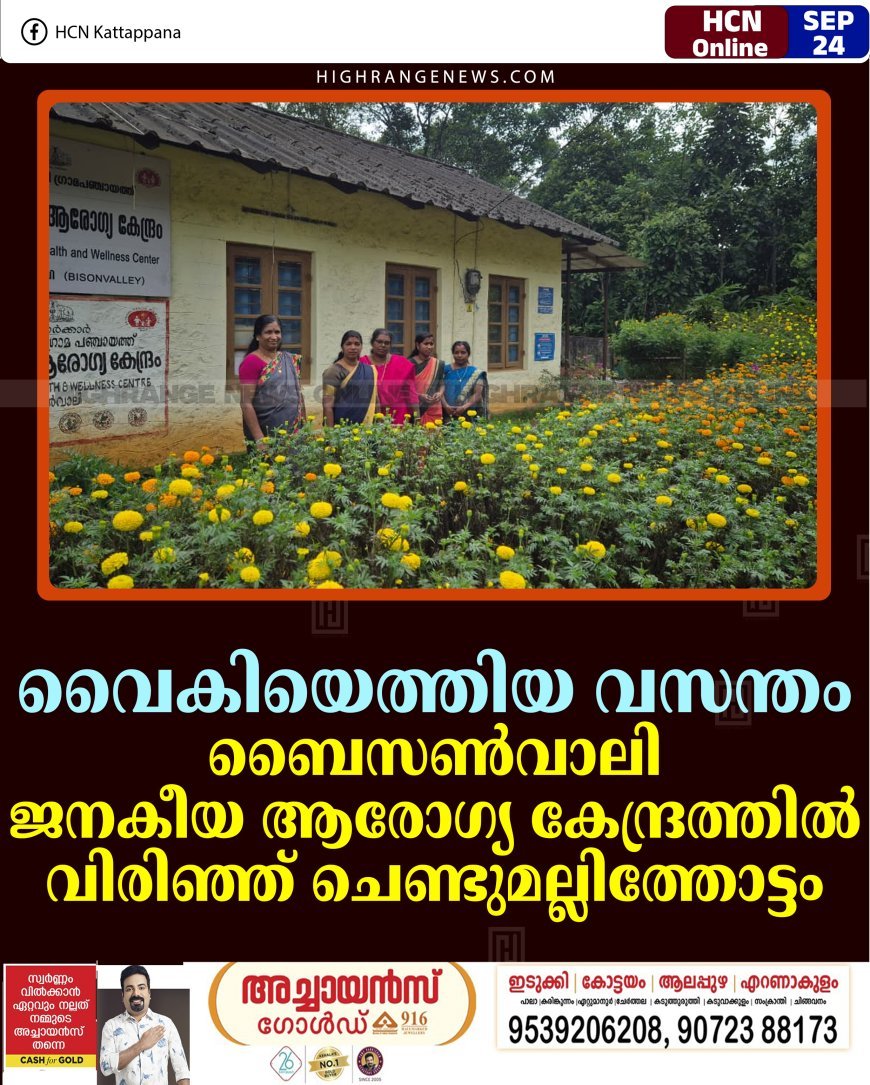 വൈകിയെത്തിയ വസന്തം: ബൈസണ്‍വാലി ജനകീയ ആരോഗ്യ കേന്ദ്രത്തില്‍ വിരിഞ്ഞ് ചെണ്ടുമല്ലിത്തോട്ടം