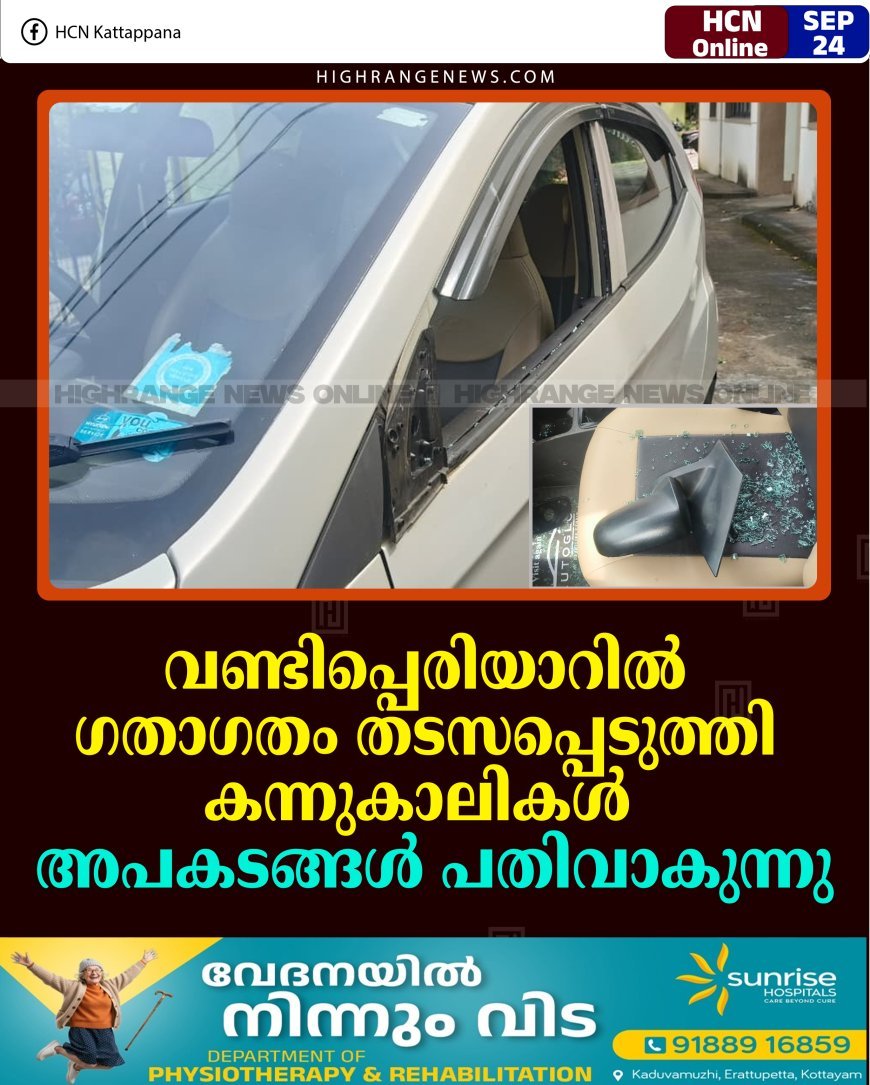 വണ്ടിപ്പെരിയാറില്‍ ഗതാഗതം തടസപ്പെടുത്തി കന്നുകാലികള്‍: അപകടങ്ങള്‍ പതിവാകുന്നു