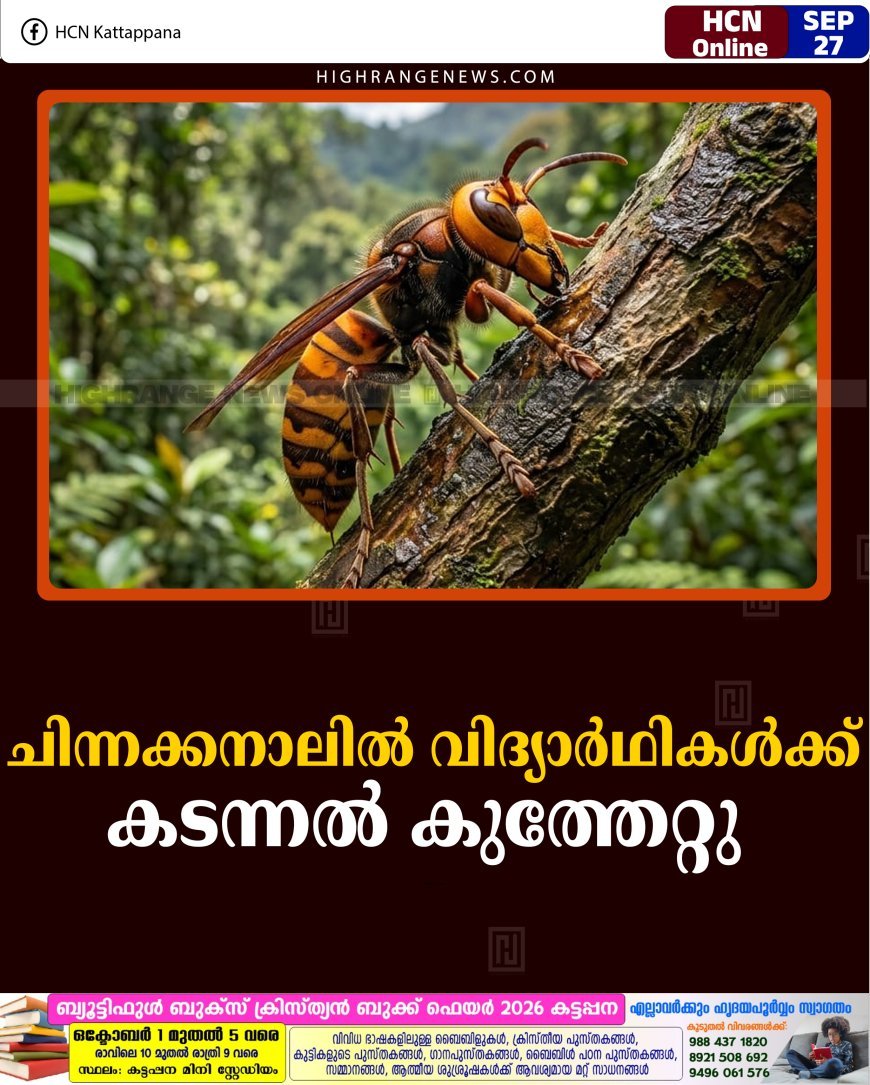 ചിന്നക്കനാലില്‍ വിദ്യാര്‍ഥികള്‍ക്ക് കടന്നല്‍ കുത്തേറ്റു 