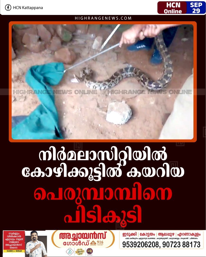 നിര്‍മലാസിറ്റിയില്‍ കോഴിക്കൂട്ടില്‍ കയറിയ പെരുമ്പാമ്പിനെ പിടികൂടി