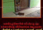 വണ്ടിപ്പെരിയാറില്‍ സിപിഐ എം നേതാവിന്റെ വീടിനുനേരെ ആക്രമണം: പിന്നില്‍ കോണ്‍ഗ്രസുകാരെന്ന് പരാതി: ഒരാള്‍ കസ്റ്റഡിയില്‍