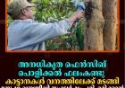 അനധികൃത ഫെന്‍സിങ് പൊളിക്കല്‍ ഫലംകണ്ടു: കാട്ടാനകള്‍ വനത്തിലേക്ക് മടങ്ങി: മനുഷ്യ-വന്യജീവി സംഘര്‍ഷം പരിഹരിക്കാന്‍ വനംവകുപ്പിന്റെ കര്‍മപദ്ധതി