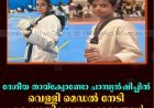 ദേശീയ തായ്‌ക്വോണ്ടോ ചാമ്പ്യന്‍ഷിപ്പില്‍ വെള്ളി മെഡല്‍ നേടി കട്ടപ്പനയിലെ സഹോദരങ്ങള്‍