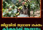 ജില്ലയില്‍ തുലാമഴ ശക്തം:  കര്‍ഷകര്‍ക്ക് ആശ്വാസം 