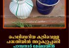 ഹെലിബറിയ കുടിവെള്ള പദ്ധതിയില്‍ അറ്റകുറ്റപ്പണി: പാമ്പനാര്‍ മേഖലയില്‍ കുടിവെള്ളമെത്താതായിട്ട് 12 ദിവസം 