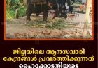ജില്ലയിലെ ആനസവാരി കേന്ദ്രങ്ങള്‍ പ്രവര്‍ത്തിക്കുന്നത് ഹൈക്കോടതിയുടെ ഉത്തരവ് ലംഘിച്ച് 