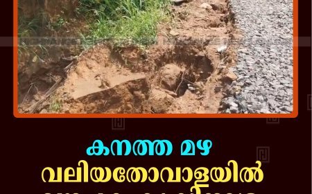 കനത്ത മഴ:  വലിയതോവാളയില്‍ വ്യാപക കൃഷിനാശം