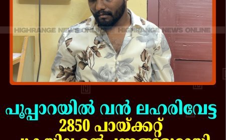 പൂപ്പാറയില്‍ വന്‍ ലഹരിവേട്ട: 2850 പായ്ക്കറ്റ് പുകയില ഉല്‍പ്പന്നങ്ങളുമായി ഈരാറ്റുപേട്ട സ്വദേശി പിടിയില്‍