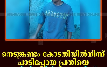 നെടുങ്കണ്ടം കോടതിയില്‍നിന്ന് ചാടിപ്പോയ പ്രതിയെ ഓടിച്ചിട്ടുപിടിച്ച് പൊലീസ്