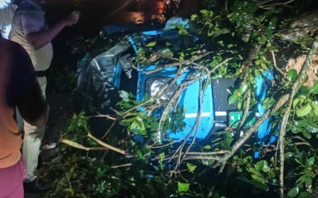 ശാന്തൻപാറയിൽ ഓട്ടോറിക്ഷയ്ക്ക് മുകളിലേക്ക് മരം വീണ് ഡ്രൈവർ മരിച്ചു