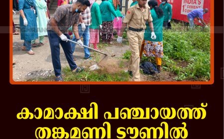 കാമാക്ഷി പഞ്ചായത്ത് തങ്കമണി ടൗണില്‍ ശുചീകരണം നടത്തി  