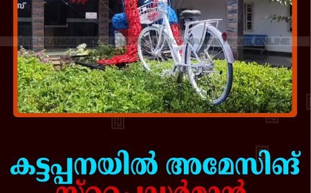 കട്ടപ്പനയില്‍ അമേസിങ് സ്‌പൈഡര്‍മാന്‍  