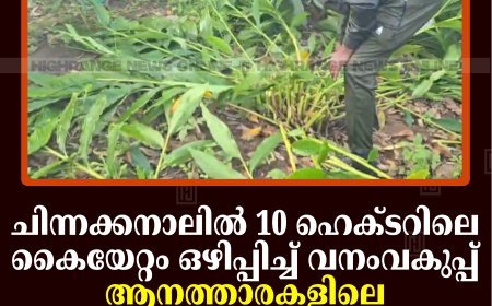 ചിന്നക്കനാലില്‍ 10 ഹെക്ടറിലെ കൈയേറ്റം ഒഴിപ്പിച്ച് വനംവകുപ്പ്: ആനത്താരകളിലെ അനധികൃത ഫെന്‍സിങ്ങും ഏലംകൃഷിയും വെട്ടിനിരത്തി 
