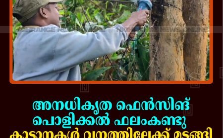 അനധികൃത ഫെന്‍സിങ് പൊളിക്കല്‍ ഫലംകണ്ടു: കാട്ടാനകള്‍ വനത്തിലേക്ക് മടങ്ങി: മനുഷ്യ-വന്യജീവി സംഘര്‍ഷം പരിഹരിക്കാന്‍ വനംവകുപ്പിന്റെ കര്‍മപദ്ധതി