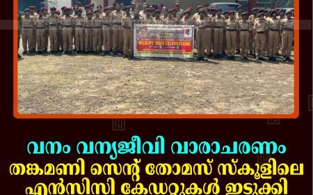 വനം വന്യജീവി വാരാചരണം: തങ്കമണി സെന്റ് തോമസ് സ്‌കൂളിലെ എന്‍സിസി കേഡറ്റുകള്‍ ഇടുക്കി വന്യജീവി സങ്കേതത്തില്‍ ട്രക്കിങ് നടത്തി 