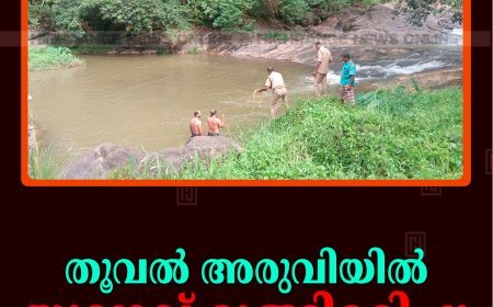 തൂവല്‍ അരുവിയില്‍ യുവാവ് മുങ്ങിമരിച്ചു