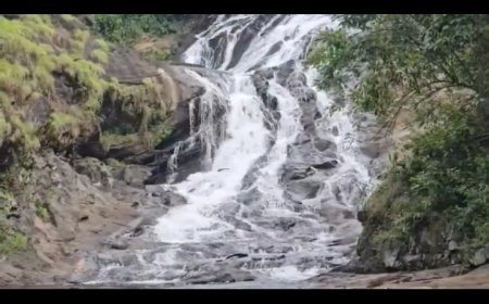 പഴയരിക്കണ്ടം ടൂറിസം പദ്ധതി നടപ്പാക്കണമെന്ന് നാട്ടുകാർ 