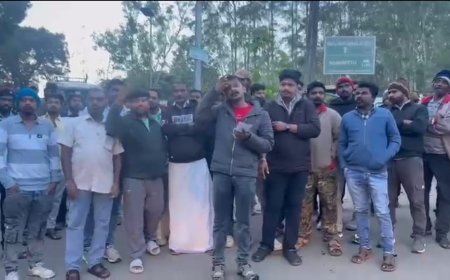 കൊളുക്കുമല ജീപ്പ് ഡ്രൈവർമാർ സമരത്തിൽ: ടേൺ സിസ്റ്റം പിൻവലിക്കണമെന്ന് ആവശ്യം