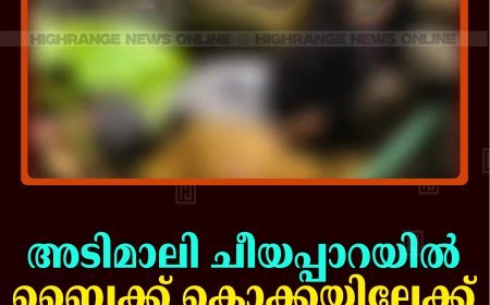 അടിമാലി ചീയപ്പാറയില്‍ ബൈക്ക് കൊക്കയിലേക്ക് മറിഞ്ഞ് യുവാവ് മരിച്ചു