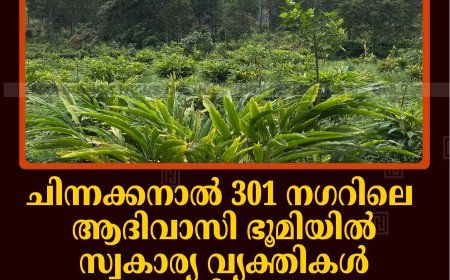 ചിന്നക്കനാല്‍ 301 നഗറിലെ ആദിവാസി ഭൂമിയില്‍ സ്വകാര്യ വ്യക്തികള്‍ ഏലം കൃഷി നടത്തുന്നു: നിലമൊരുക്കുന്ന ദൃശ്യങ്ങള്‍ പുറത്ത് 